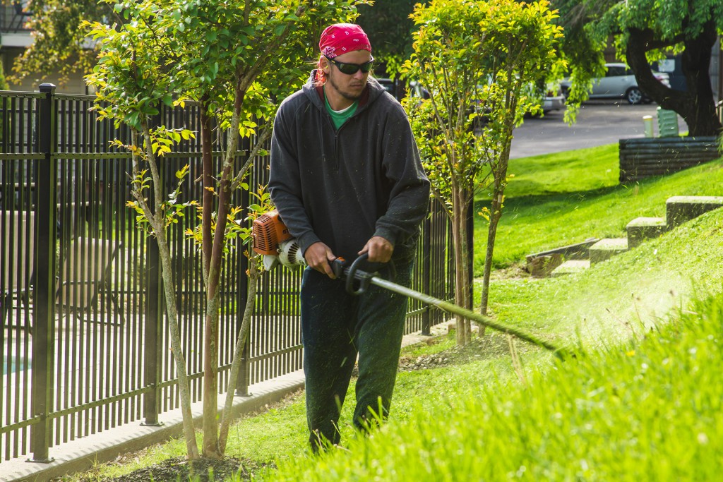 MowTime Lawn Maintenance